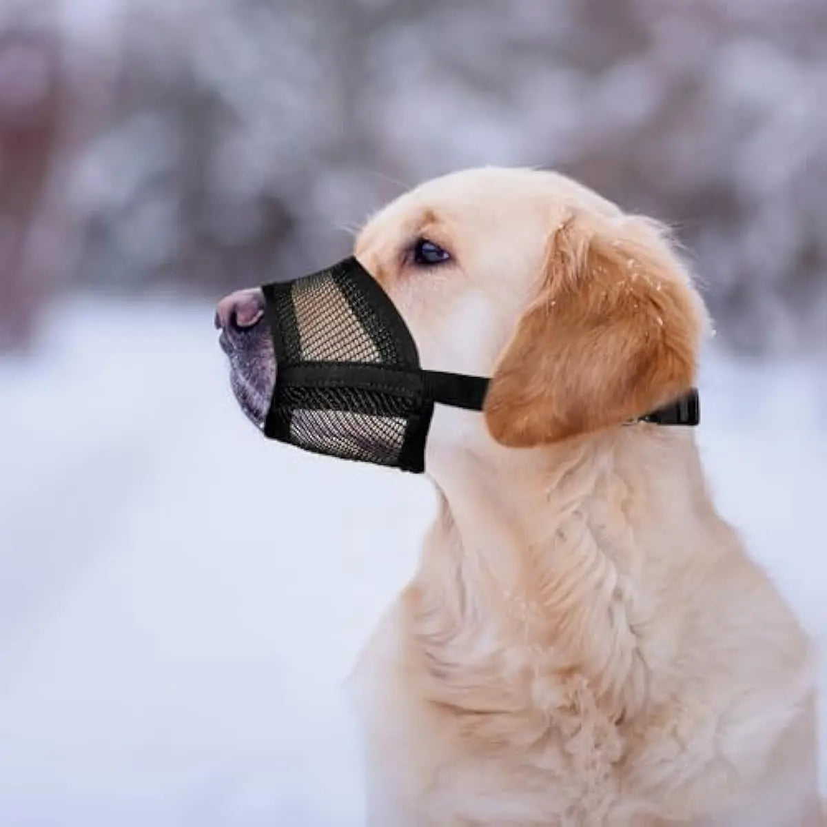 AirComfort™ Breathable Anti-Biting & Anti-Eating Muzzle