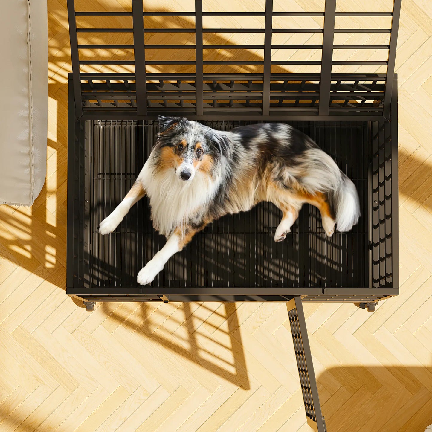 Walsunny 37/47 Inch Heavy Duty Steel Dog Crate for Large Dogs with Lockable Wheels and Double Door Design, Escape Proof, Indestructible, Black Enclosure