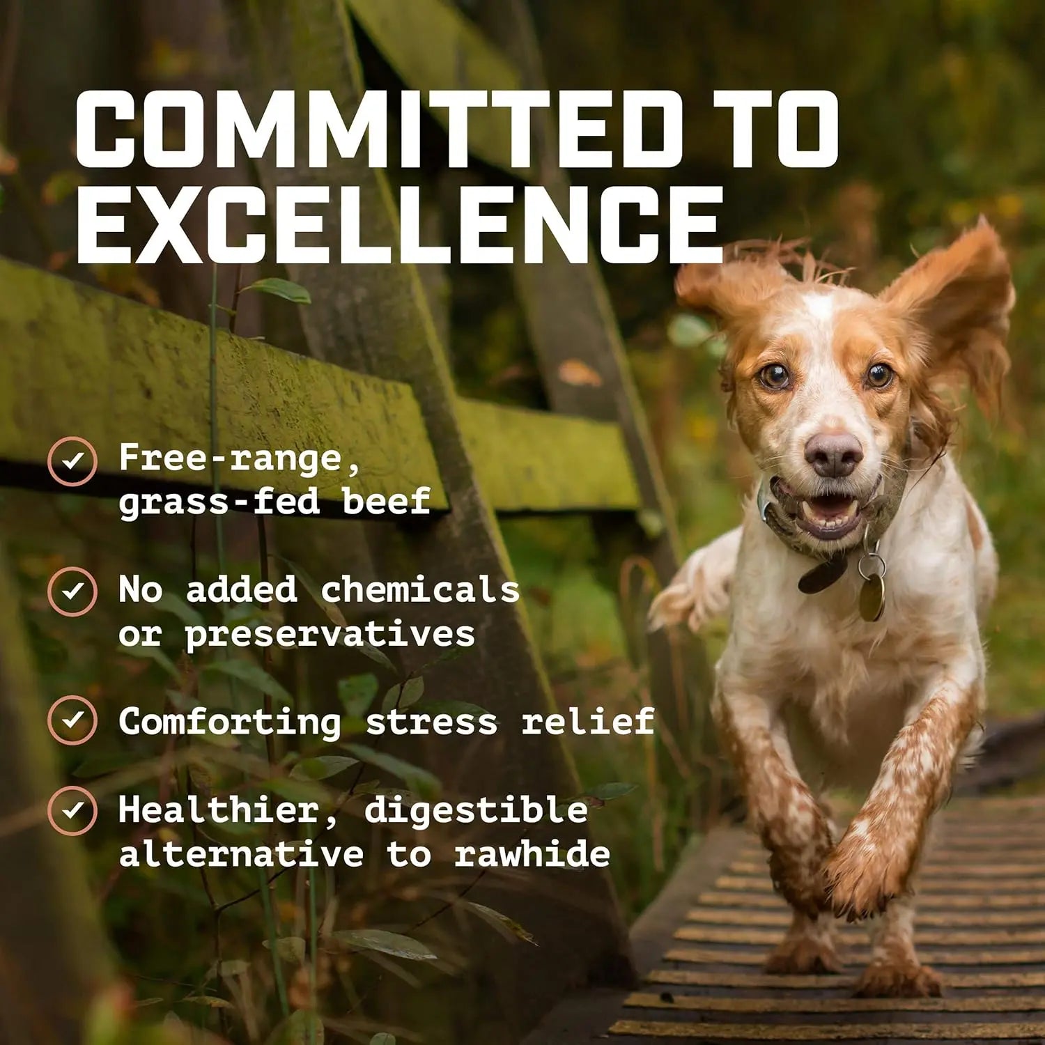 ChewCheek™ All-Natural Peanut Butter Collagen Dog Rolls