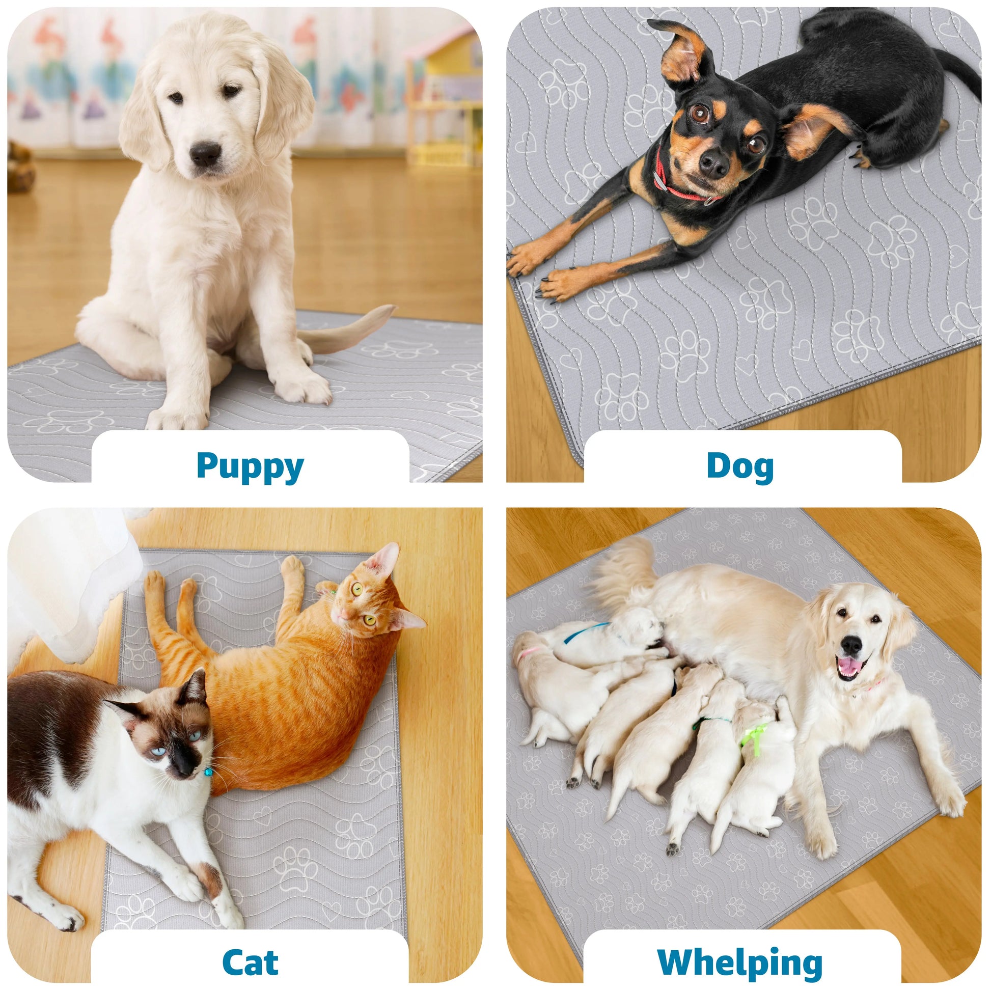 DryPaws™ Washable & Reusable Dog Pee Pad