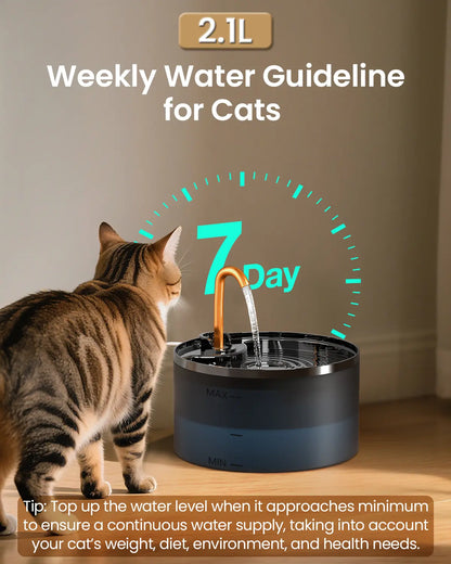 AquaPure™ Ultra-Quiet LED Cat Water Fountain